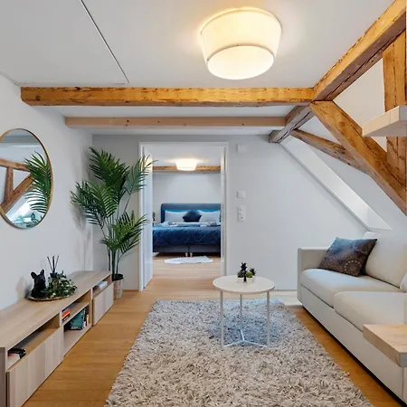 Boutiquepenthouse / Freeparking / Kingsuite / Privaterooftopterrace Apartment Zurich