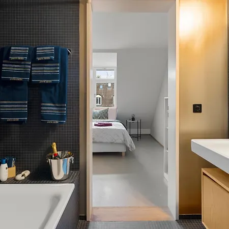 公寓 Boutiquepenthouse / Freeparking / Kingsuite / Privaterooftopterrace 苏黎世