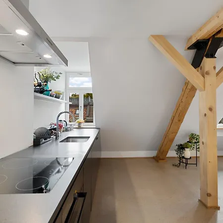 Boutiquepenthouse / Freeparking / Kingsuite / Privaterooftopterrace Lejlighed Zürich