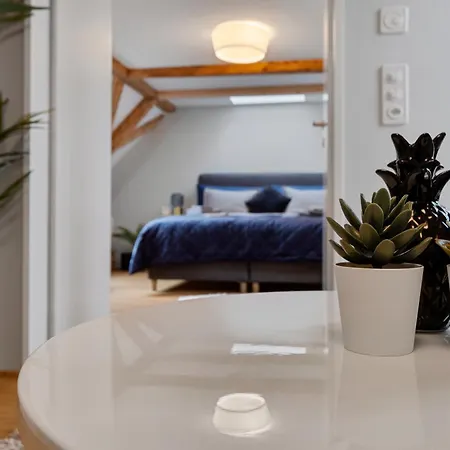 Lejlighed Boutiquepenthouse / Freeparking / Kingsuite / Privaterooftopterrace
